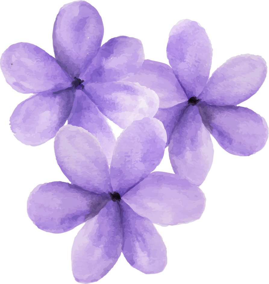Watercolor purple flowers.